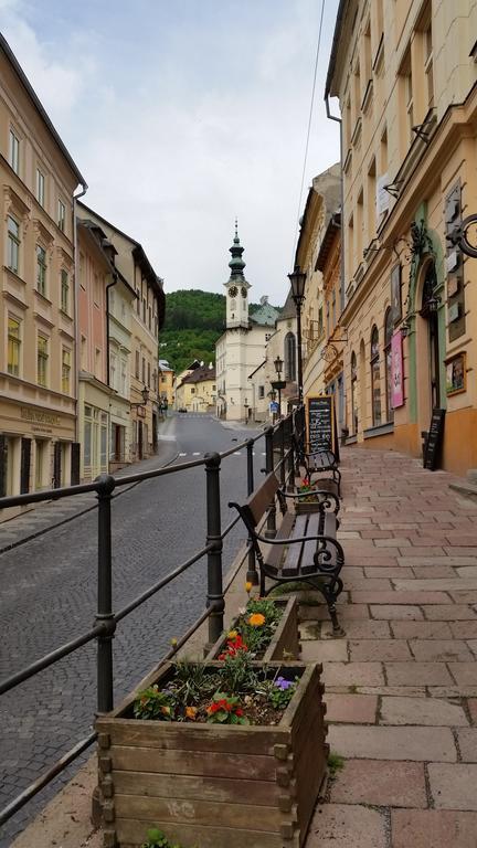 Siglisberg Villa Banská Štiavnica Szoba fotó