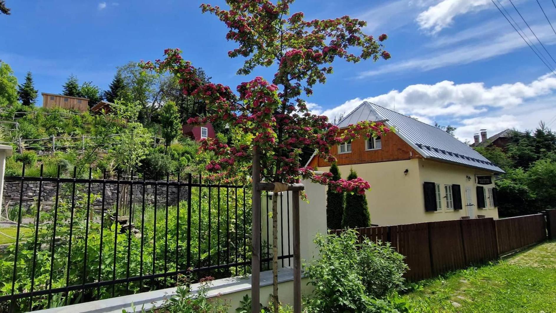 Siglisberg Villa Banská Štiavnica Kültér fotó